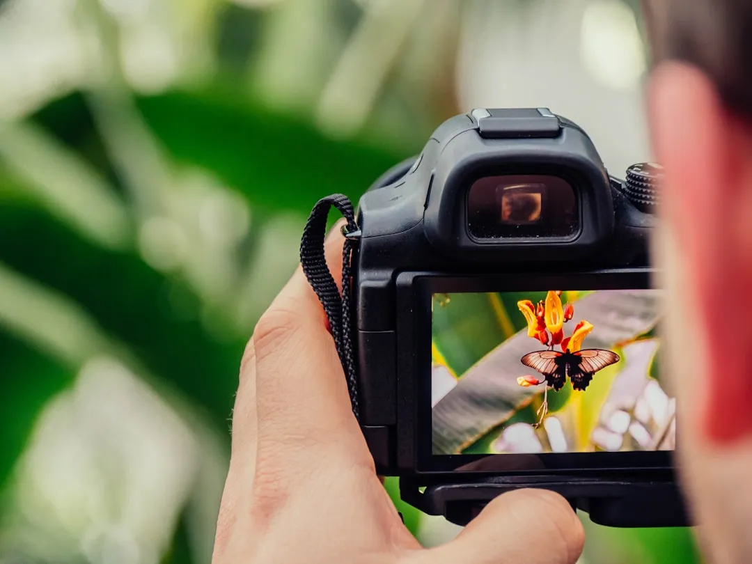 Why Photo Quality Changes Everything (Image Credits: Unsplash)