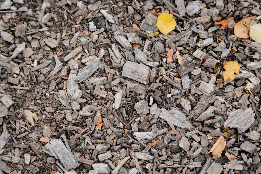 What Wood Ash Is Actually Made Of (Image Credits: Unsplash)