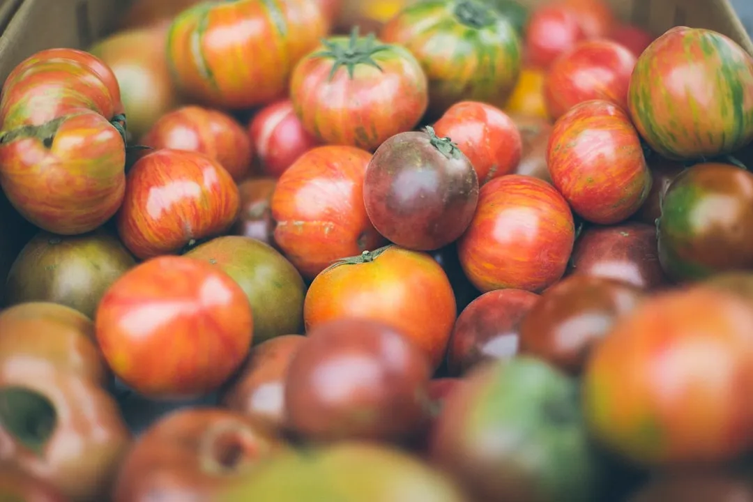 Some Produce Doesn't Belong in the Drawer at All (Image Credits: Unsplash)