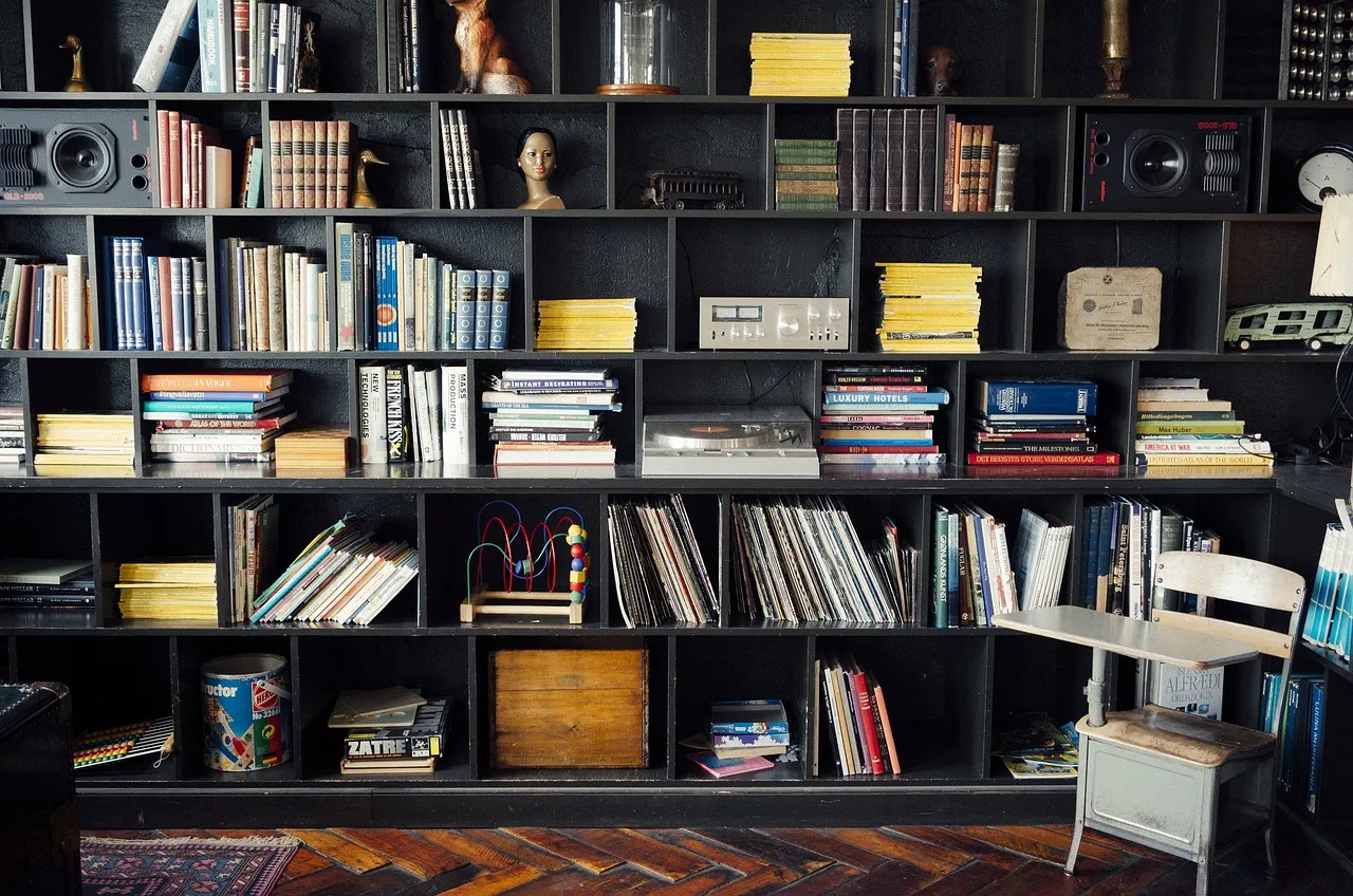 The Real Standard Professional Organizers Use (Image Credits: Pixabay)