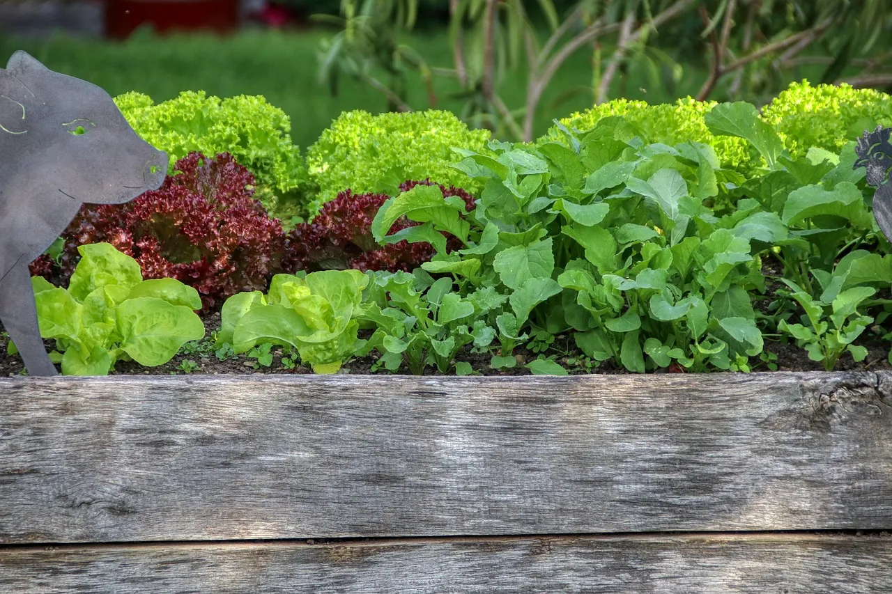 The Width Problem Nobody Talks About (Image Credits: Pixabay)