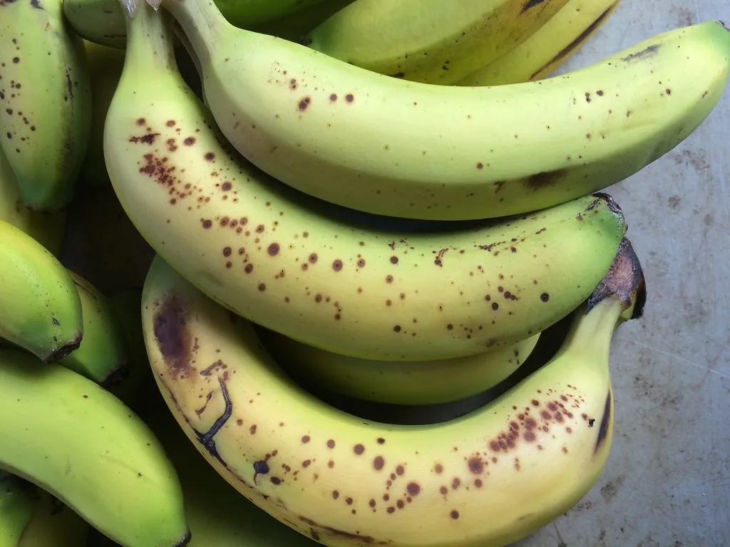 The Chemistry of Sweetness: What Happens Inside the Fruit (Image Credits: Flickr)