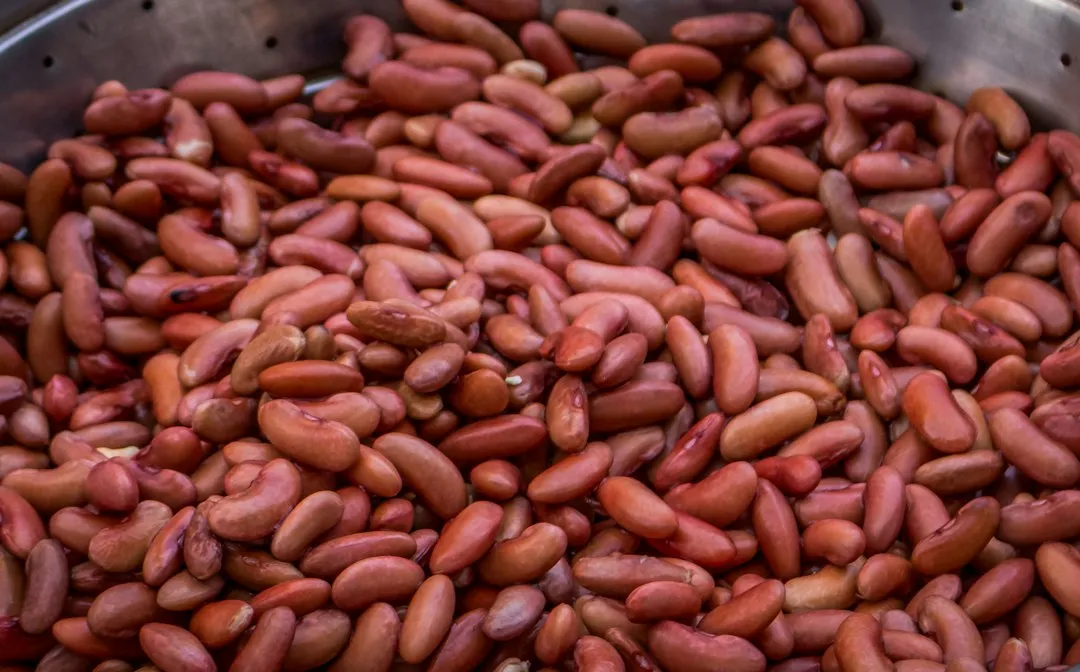 Cooking Dry Kidney Beans Without Pre-Boiling (Image Credits: Unsplash)