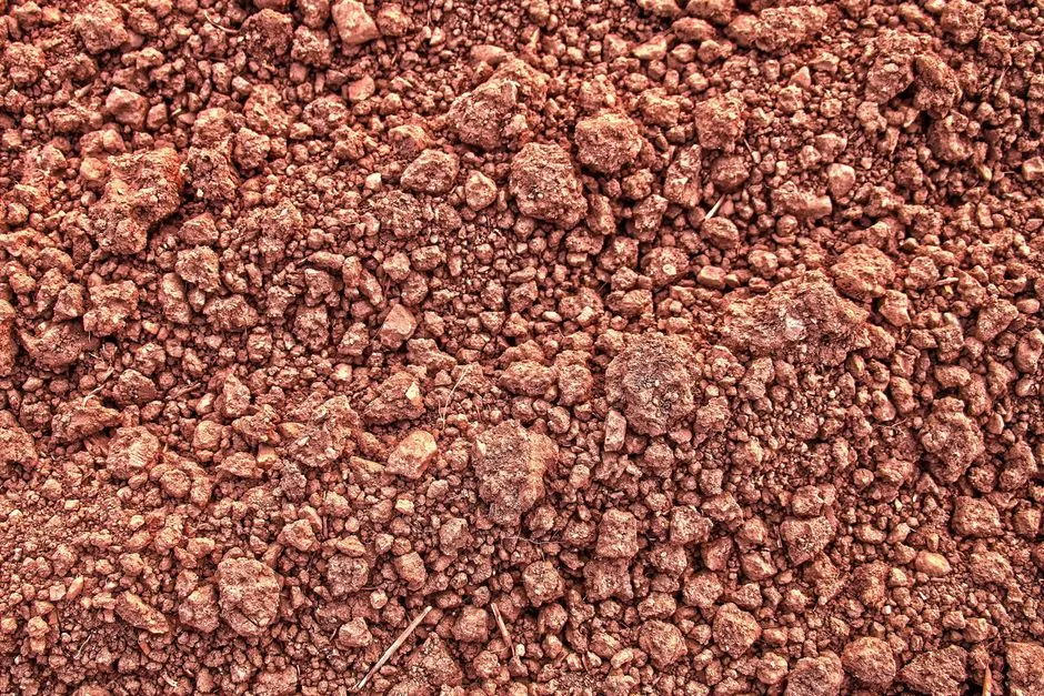 How Copper Fights Fungal and Bacterial Threats in Soil (Image Credits: Pexels)