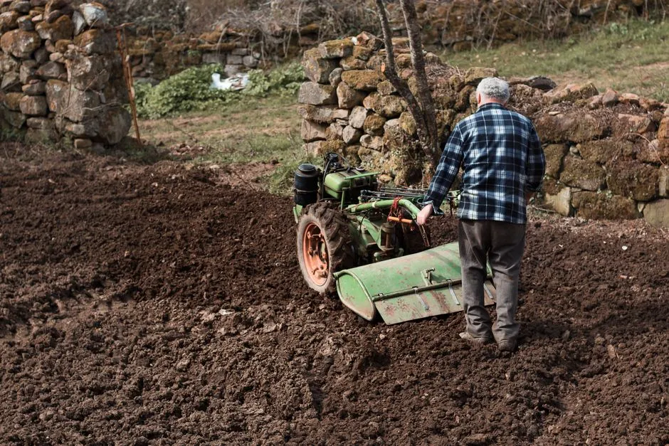 Soil Preparation That Sets the Foundation (Image Credits: Pexels)