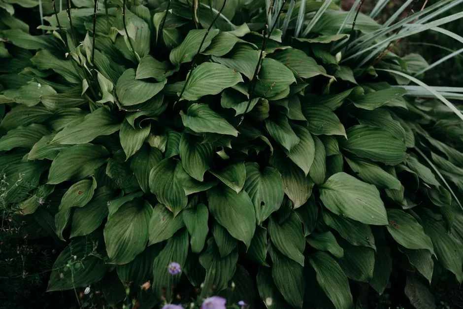 A Quiet Fix With Lasting Results (Image Credits: Pexels)