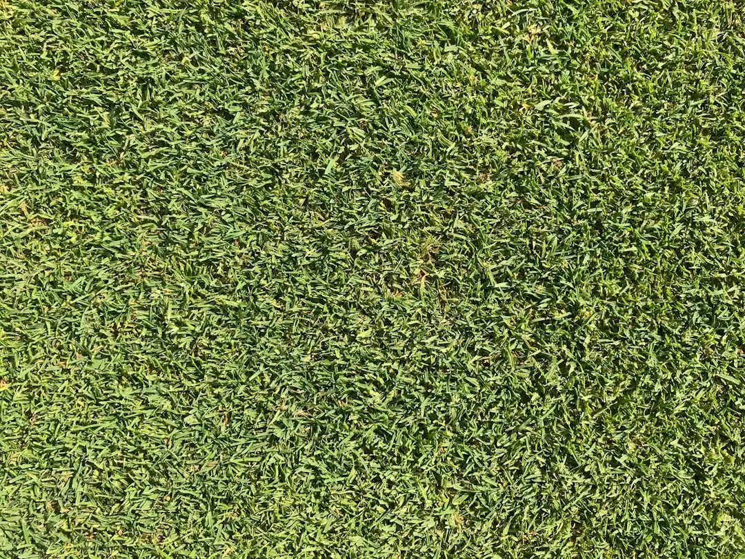 Why Bermuda and Zoysia Are Especially Difficult (Image Credits: Unsplash)
