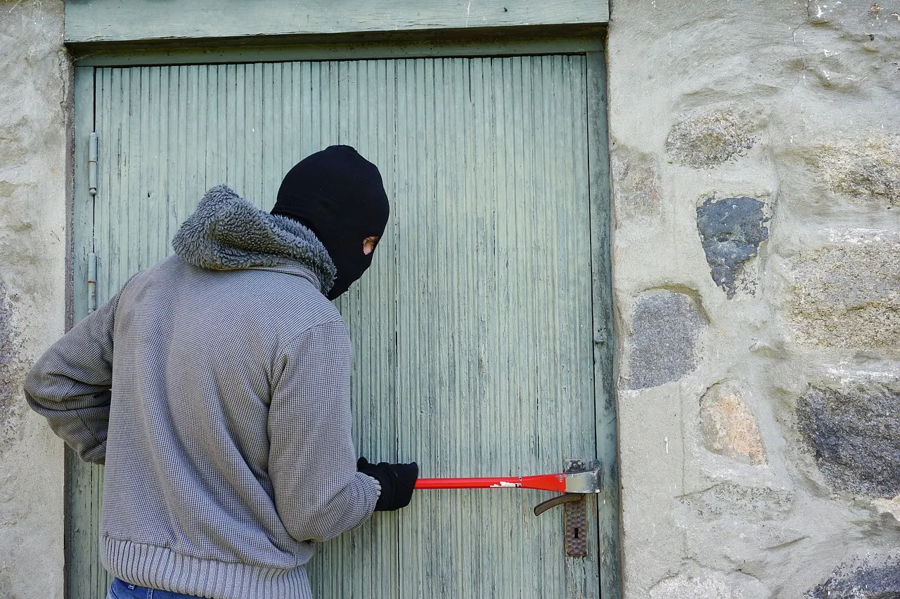 Burglaries Happen Mostly in Broad Daylight (Image Credits: Pixabay)