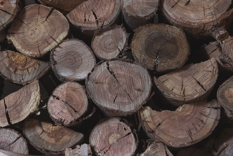 Safety and Sourcing: What to Avoid (Image Credits: Pexels)