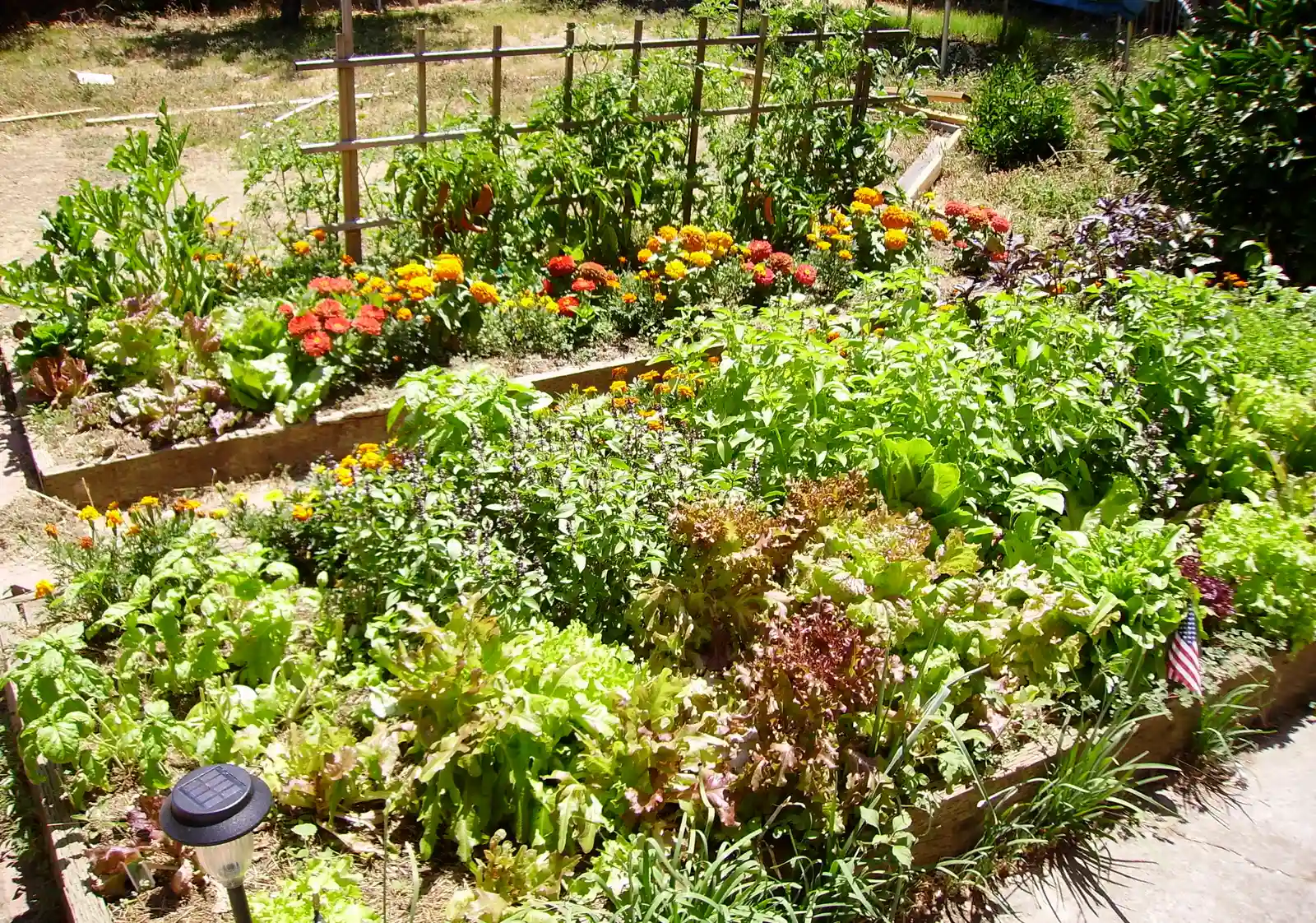 How Arthritis Changes Everything (By Srl, CC BY-SA 3.0)