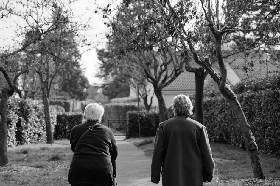 What the Latest Research Is Investigating (Image Credits: Pexels)
