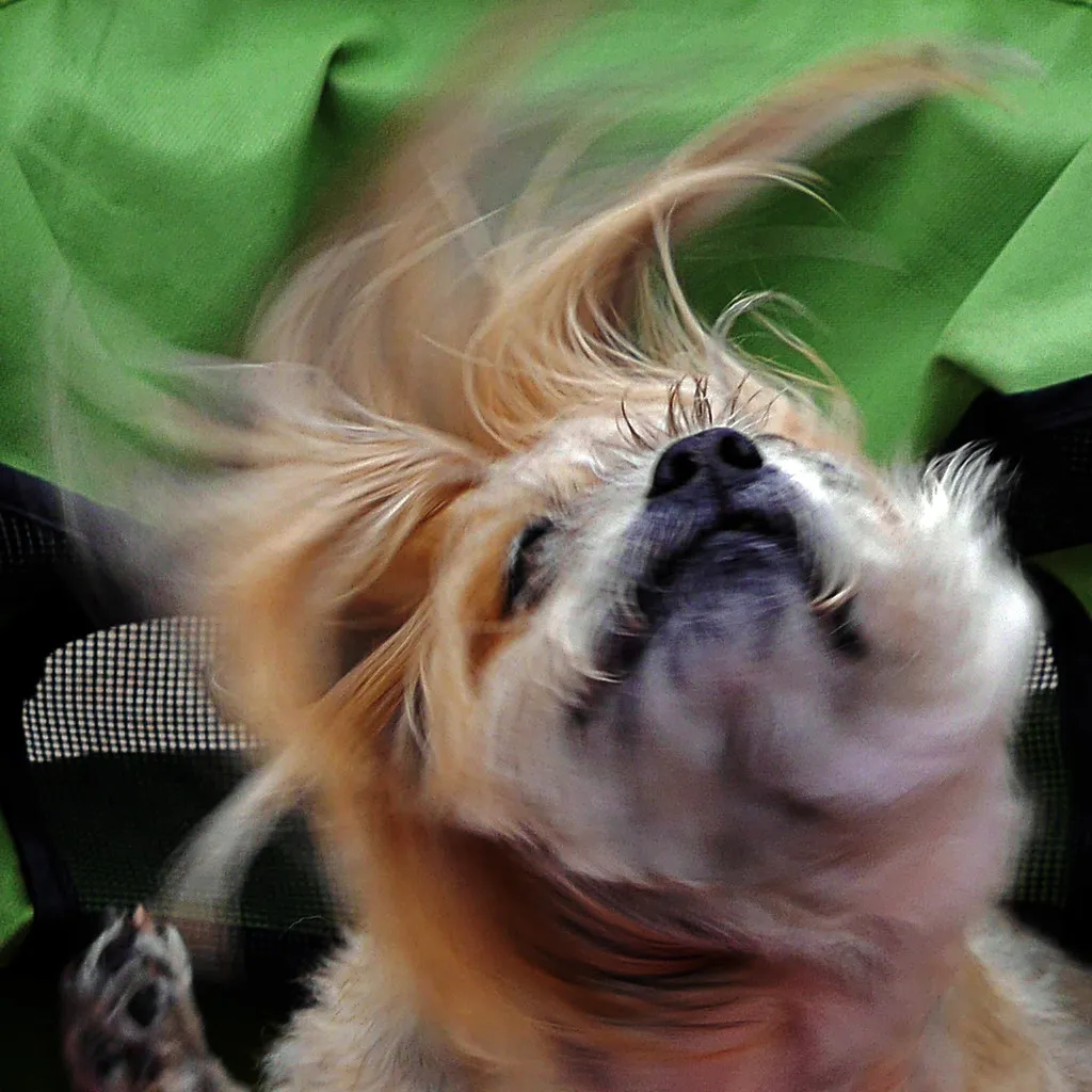 Physical Discomfort Can Trigger It Too (marneejill, Flickr, CC BY-SA 2.0)