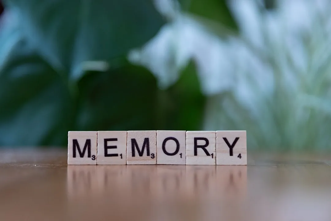 The Brain Actively Edits Memories to Match a Personal Narrative (Image Credits: Unsplash)