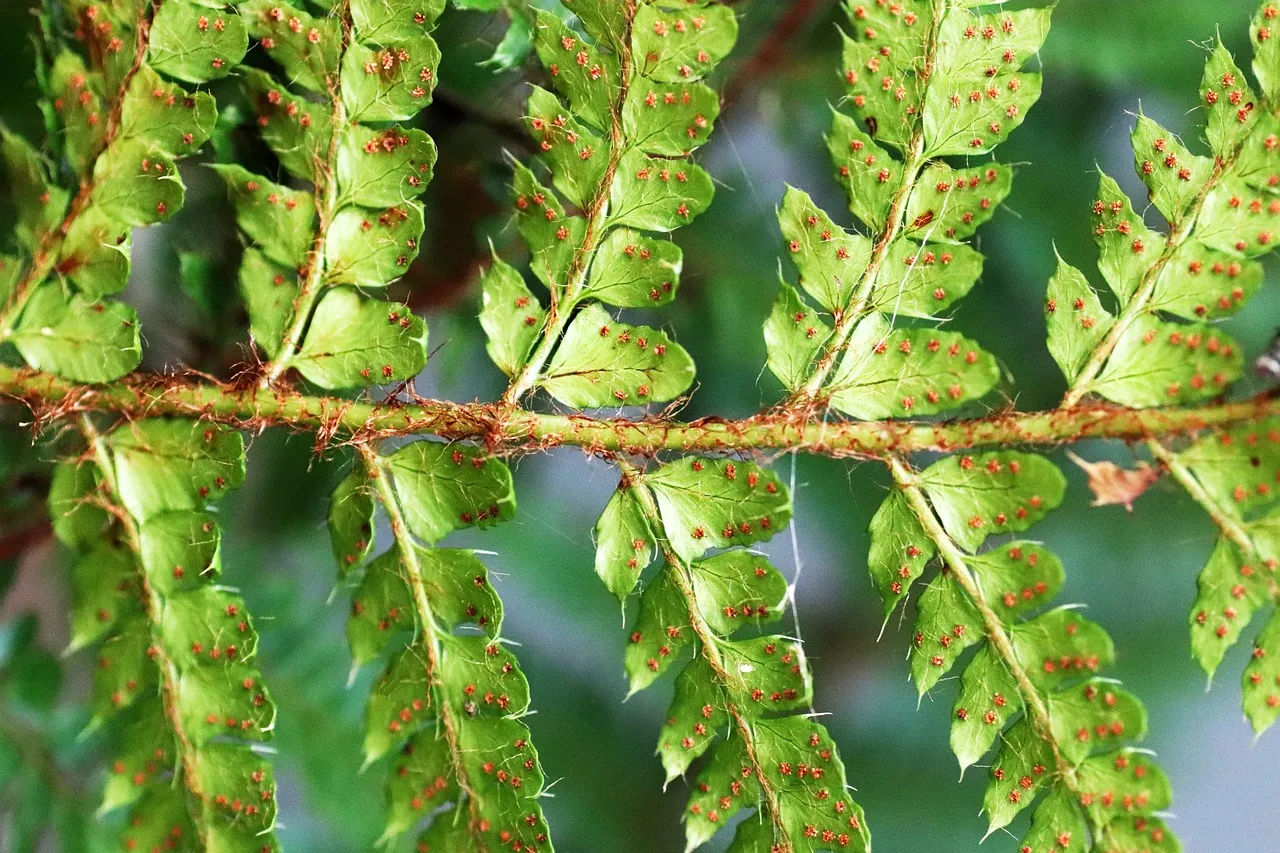 Potting Up and What Comes Next (Image Credits: Pixabay)
