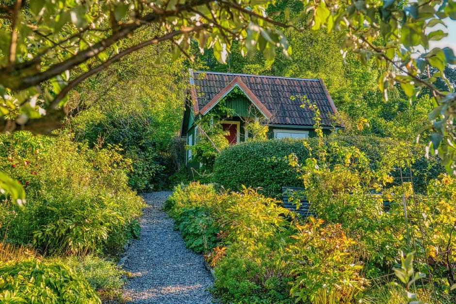 The Cottagecore Connection That Made It Mainstream (Image Credits: Pexels)