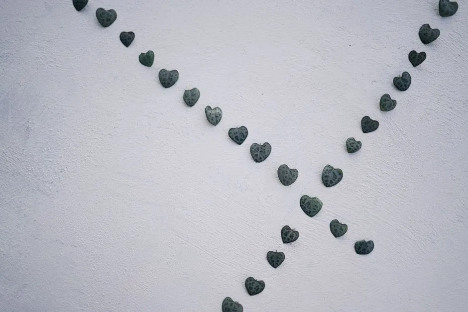 The String of Hearts Person: You Cope Through Ritual and Routine (Image Credits: Pexels)