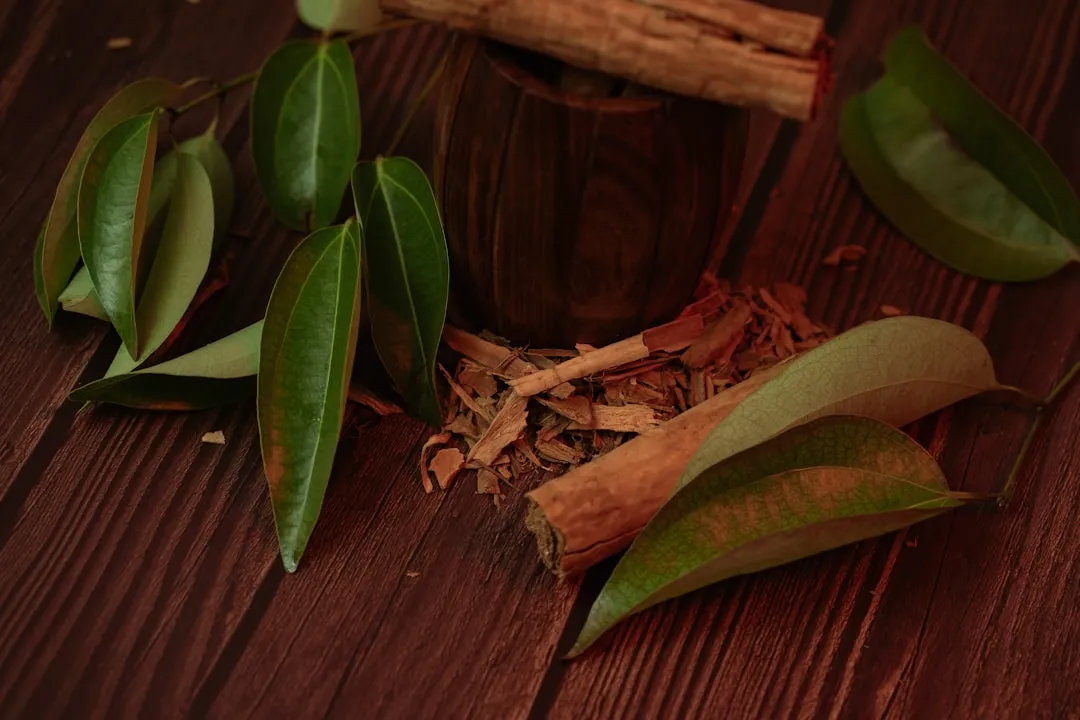 The Broader Shift Toward Natural Soil Treatments (Image Credits: Unsplash)