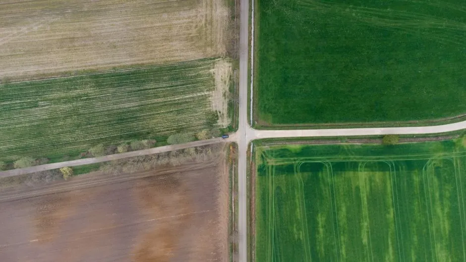 The Three-Field Rotation Required Whole-Village Buy-In (Image Credits: Pexels)