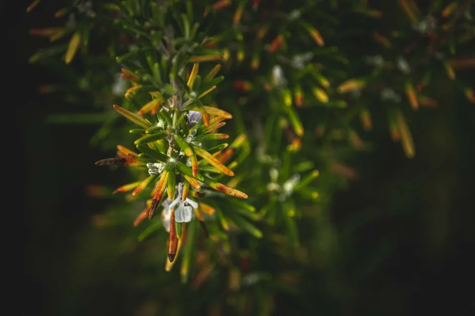 How to Tell Overwatering from Underwatering at a Glance (Image Credits: Pexels)