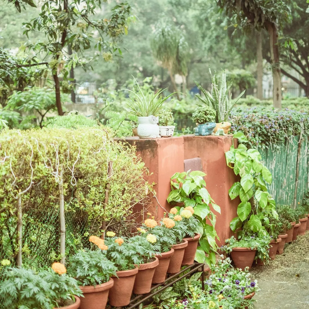 The Latte Lover: Warm, Social, and Garden-Party Ready (Image Credits: Unsplash)