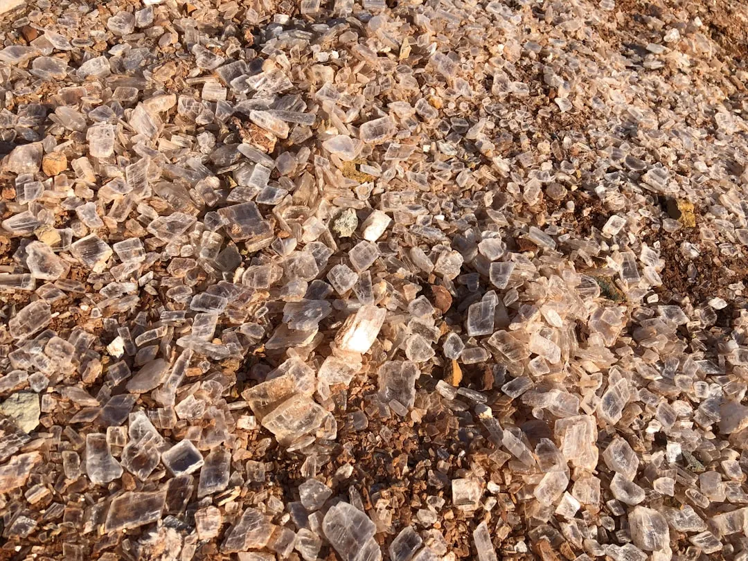 Bone Meal and Gypsum Rounded Out the Nutrient Picture (Image Credits: Unsplash)