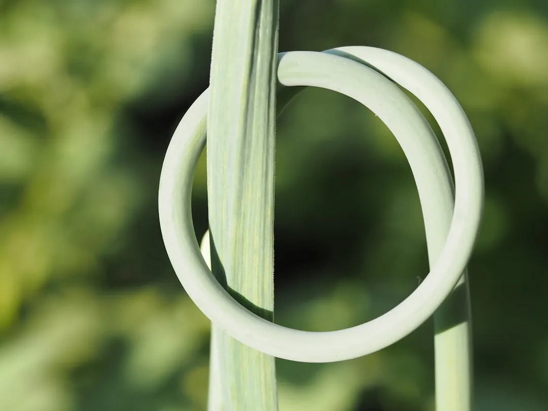 Choosing Tie Materials That Won't Harm Your Plants (Image Credits: Unsplash)