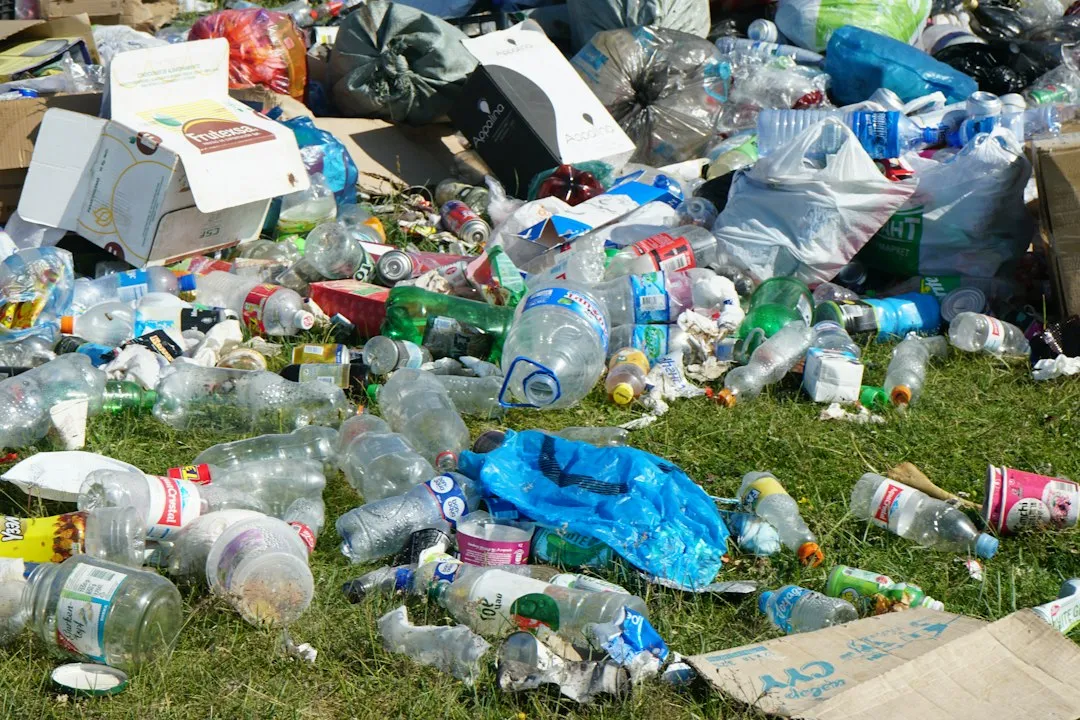 What Pests Actually Need From Your Trash (Image Credits: Unsplash)