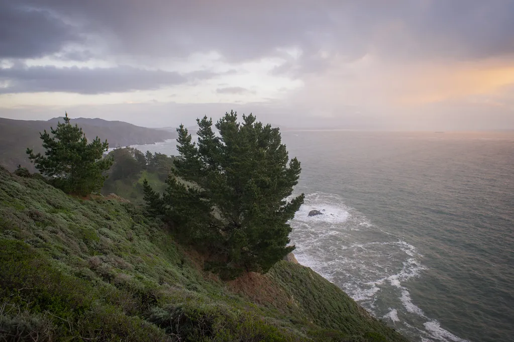 Choosing the Right Scale: Matching Tree Size to Your Property (MonikaMurren, Flickr, CC BY 2.0)