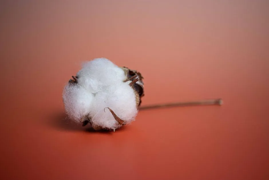 Simple Habits That Cut the Risk Sharply (Image Credits: Pexels)