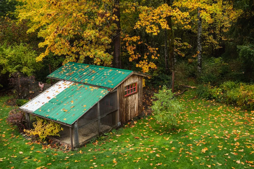 Coop Design Has Gone Decidedly Modern (Image Credits: Unsplash)