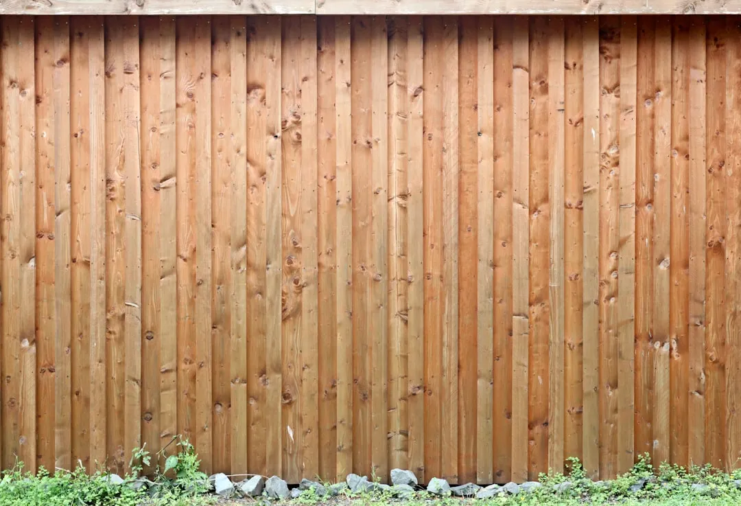 Privacy Fencing: Quiet Value with Practical Appeal (Image Credits: Unsplash)