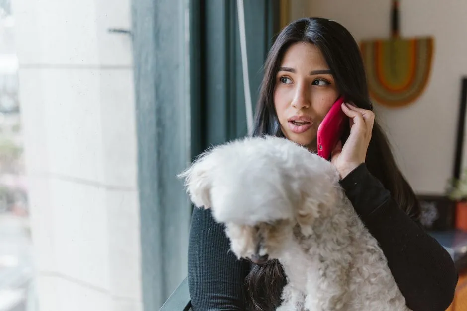 What to Do and Who to Call (Image Credits: Pexels)