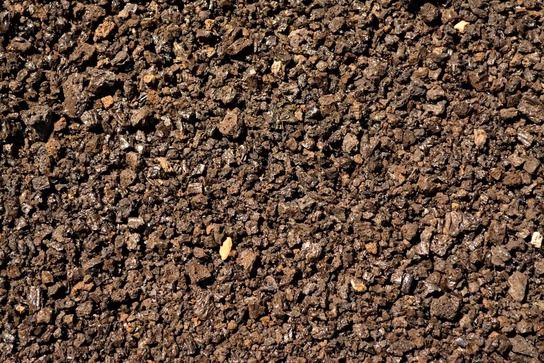 Sand Speeds Up Drainage and Cuts Down Root Rot (Image Credits: Unsplash)