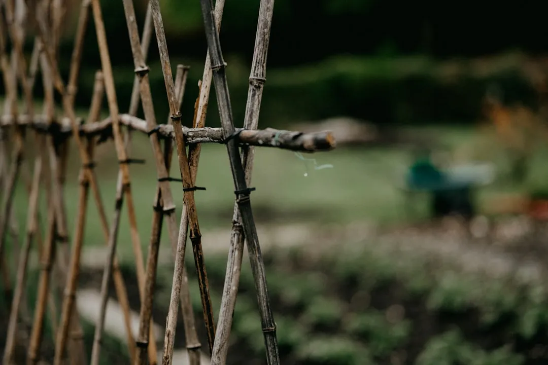 Vertical and Wall Gardening Without Drilling a Single Hole (Image Credits: Unsplash)