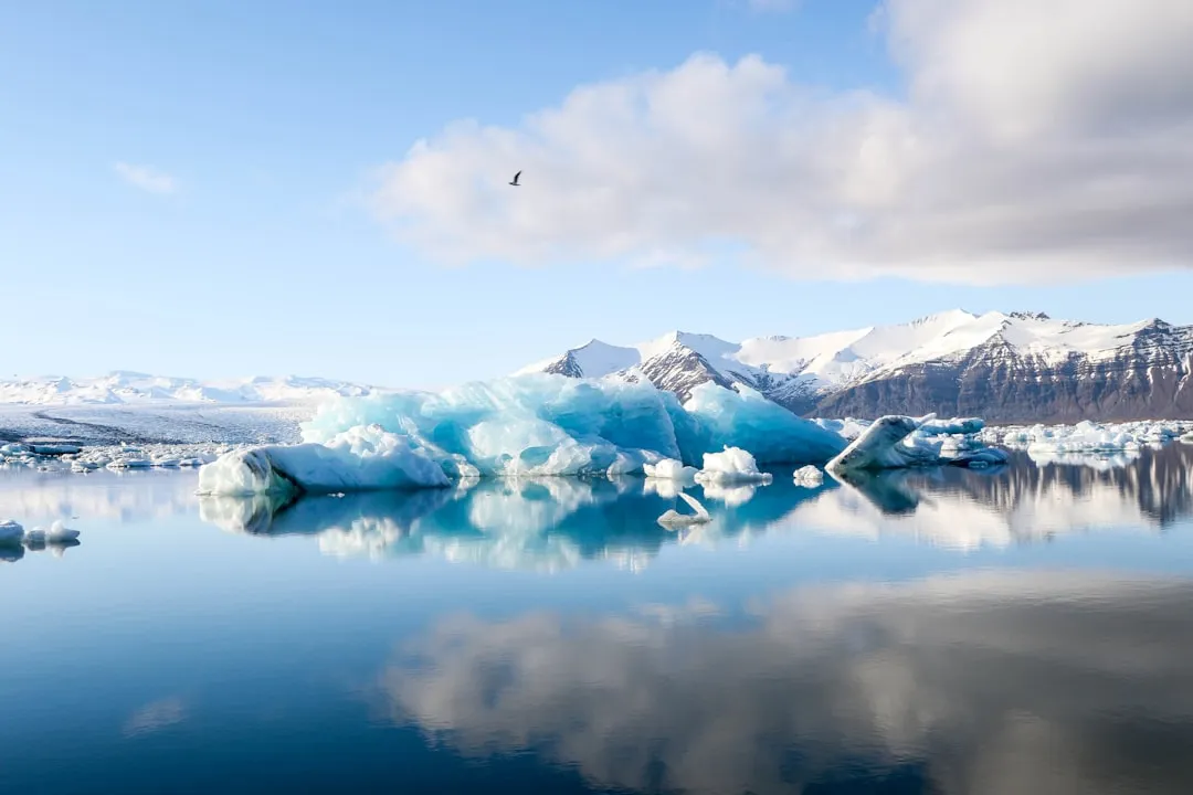 The Landscape Ahead - What Monitoring and Research Tell Us (Image Credits: Unsplash)