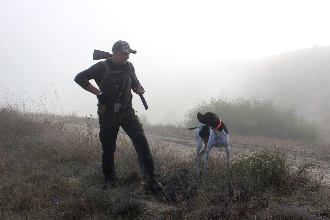 Dogs Are Wired to Hunt, Not to Scoop From a Dish (Image Credits: Unsplash)