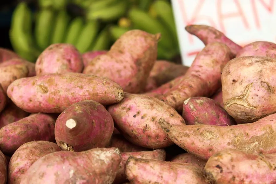 6. Okinawan Sweet Potatoes: A Polyphenol Powerhouse (Image Credits: Pexels)