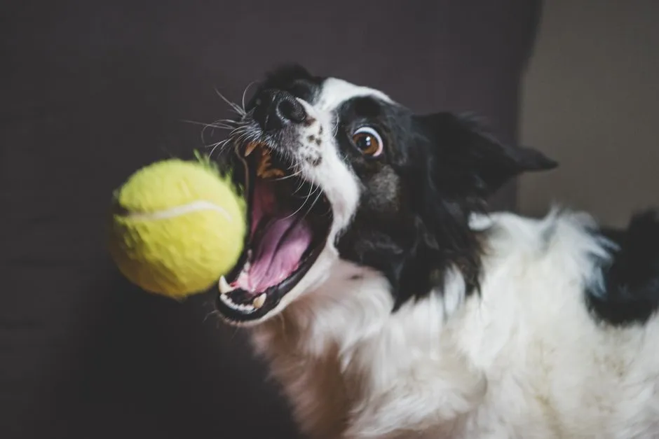 What Treatment Actually Looks Like (Image Credits: Pexels)