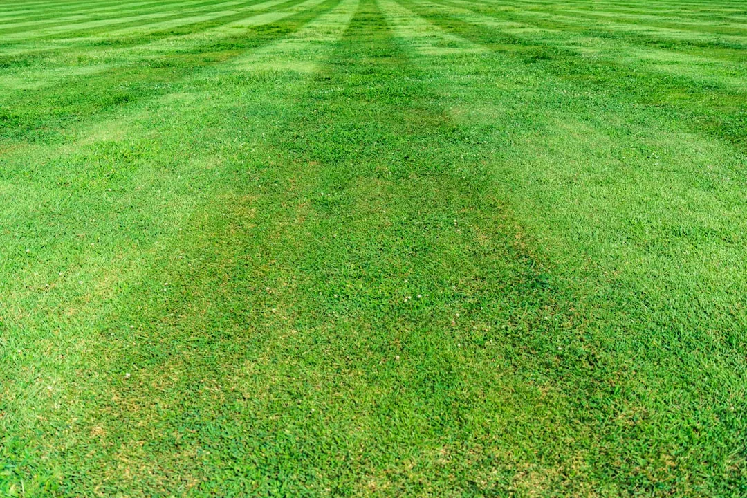 Soil Compaction Is Part of the Problem Too (Image Credits: Unsplash)