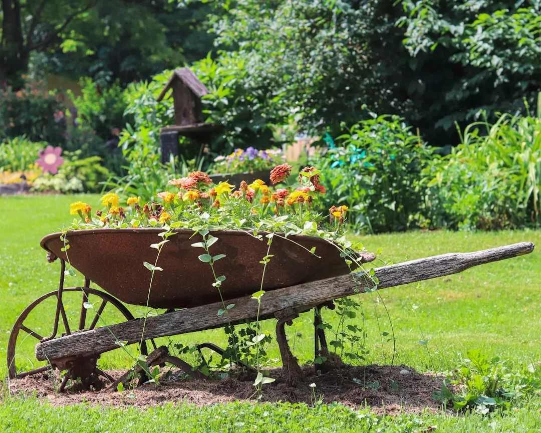 Why the Look Works So Well in Gardens Right Now (Image Credits: Unsplash)