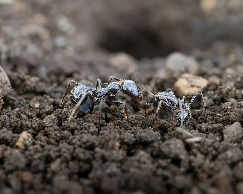 A Partnership Written in Evolution (Image Credits: Pexels)