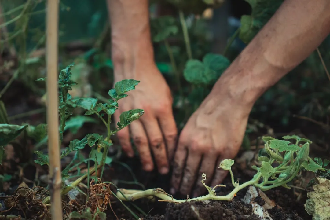 Treating Soil Testing as a One-Time Event (Image Credits: Unsplash)
