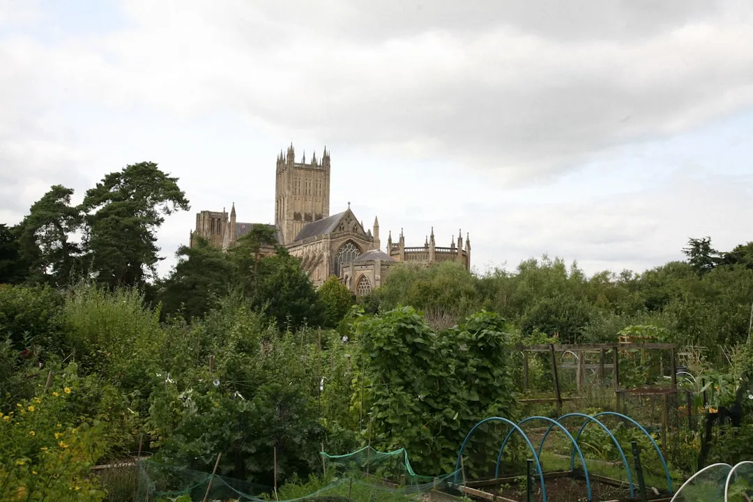 Where It All Began: Roots in Medieval England (Image Credits: Unsplash)