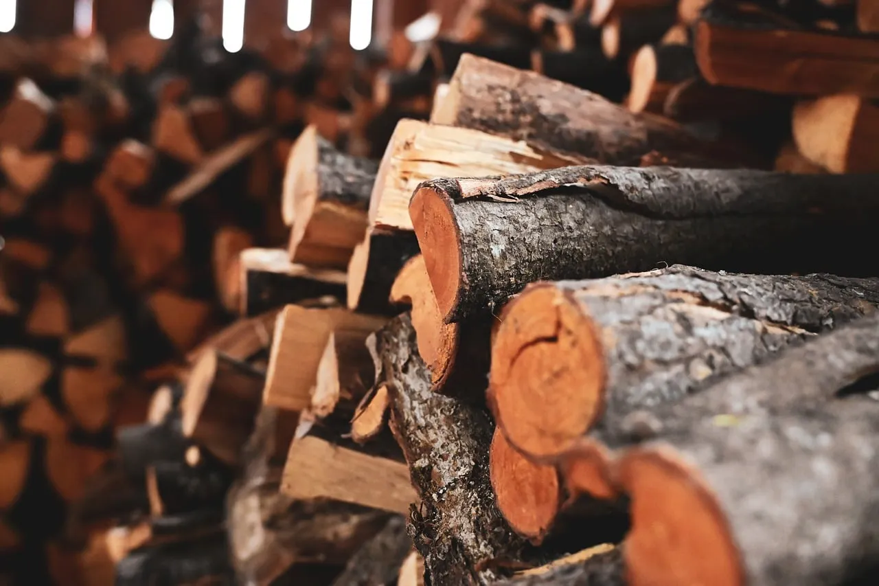 EPA Certification and Newer Wood-Burning Standards (Image Credits: Pixabay)