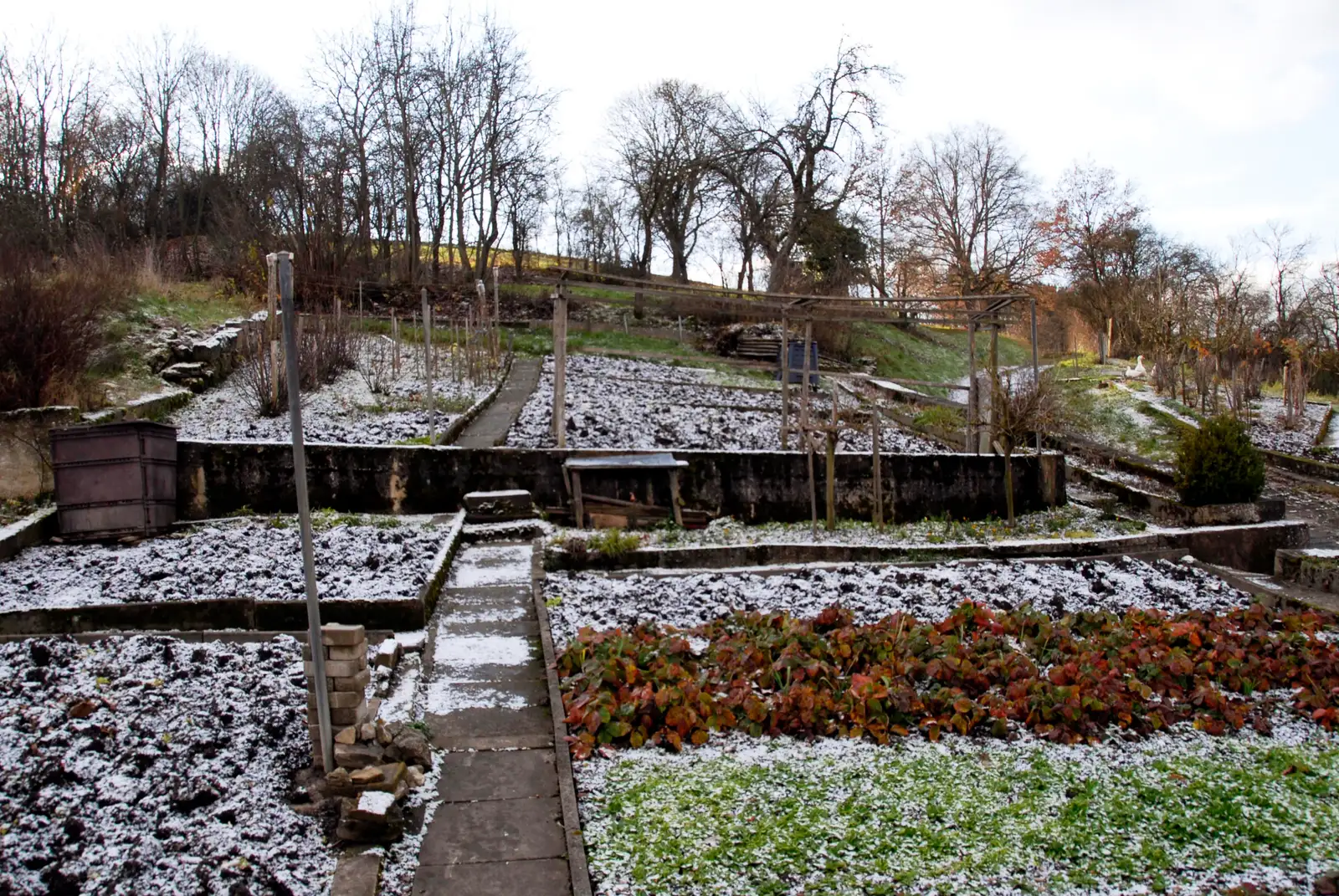 Snow as Nature's Drip Irrigation (By Tony Keyes, CC BY-SA 4.0)