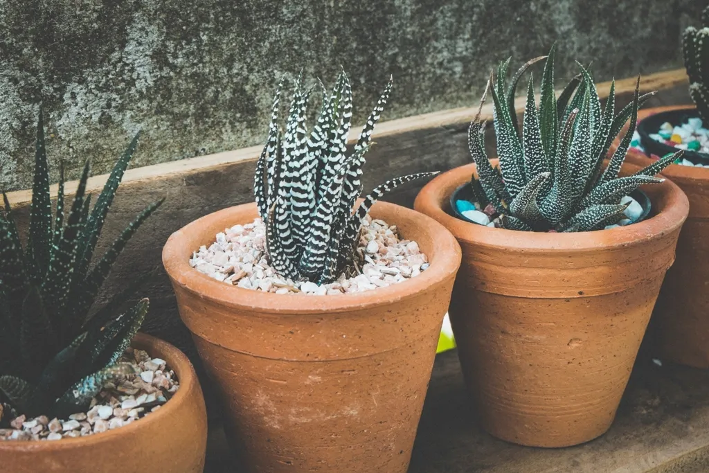 Too Few Holes, Too Small: Drainage That Can't Keep Up (Image Credits: Rawpixel)