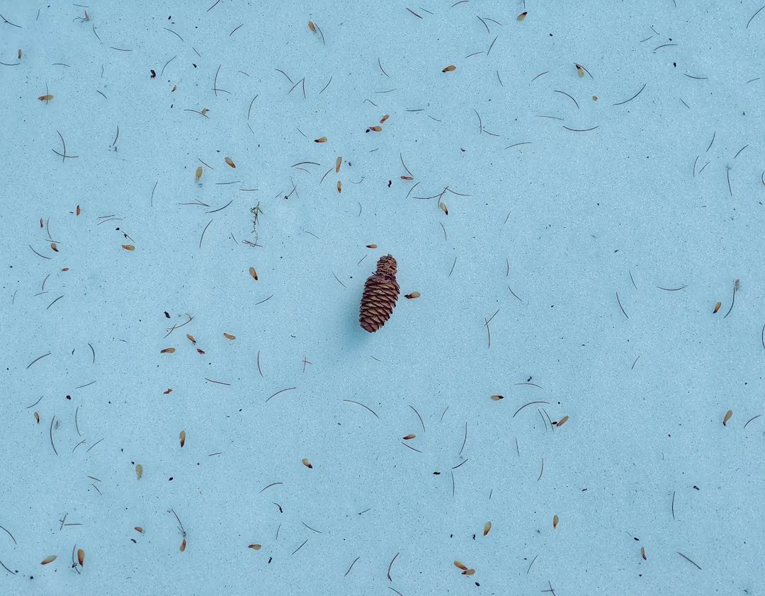 The Takeaway (Image Credits: Unsplash)