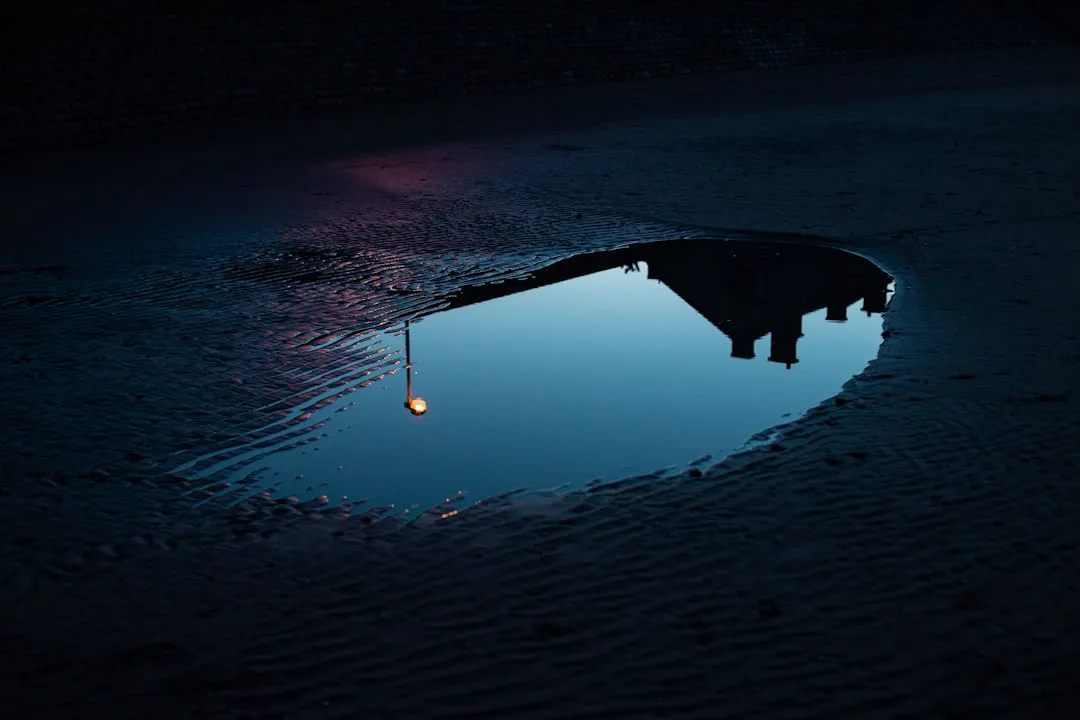 What Puddling Actually Looks Like (Image Credits: Unsplash)