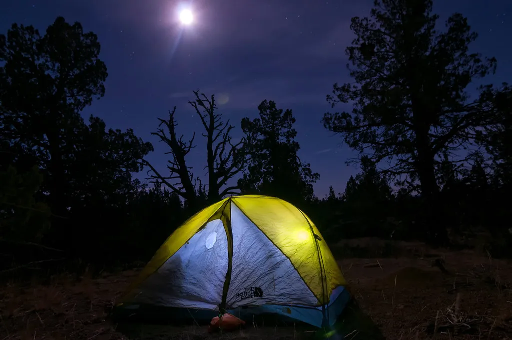 Pick Your Campsite with Drainage in Mind (BLMIdaho, Flickr, CC BY 2.0)