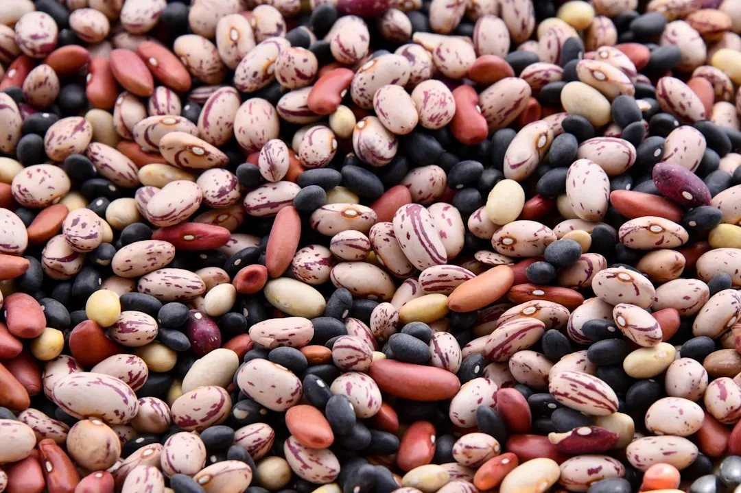 9. Beans and Legumes (Image Credits: Unsplash)